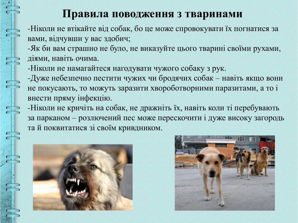 15c45c5099a5d137a4e4a6ccc415f6ec-4-1024x768